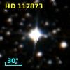 HD 117873