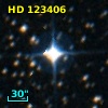 HD 123406