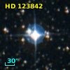 HD 123842