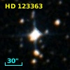 HD 123363