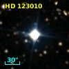 HD 123010