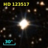 HD 123517