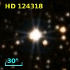 HD 124318