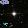 CD-80   544