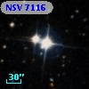 NSV  7116