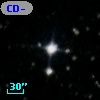 CD-80   566