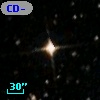 CD-80   586