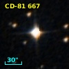 CD-81   667