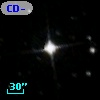 CD-81   704