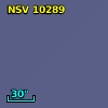 NSV 10289
