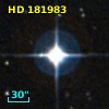 HD 181983