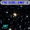 TYC 3195-1407-1