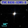 TYC 9131-1205-1