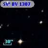 SV* BV  1307