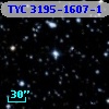 TYC 3195-1607-1