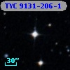 TYC 9131-206-1