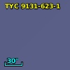 TYC 9131-623-1