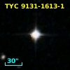 TYC 9131-1613-1
