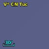V* CN Tuc