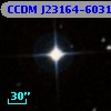 CCDM J23164-6031AB