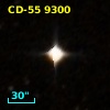 CD-55  9300