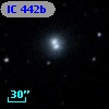 IC  442b