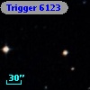 Trigger  6123