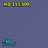 HD 111300