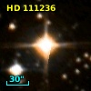 HD 111236