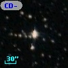 CD-47  7769n