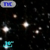 TYC 8236-1393-1