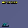 HD 111119