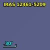 IRAS 12461-5209