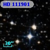 HD 111901