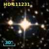 HD 111231