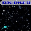 [CSS91] 124416-5317