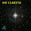 GJ   503 A
