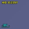 HD 312207