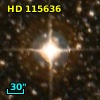 HD 115636