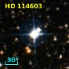 HD 114603