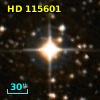 HD 115601