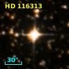 HD 116313