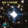 HD 116508