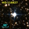 HD 116827