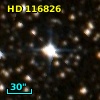 HD 116826