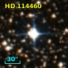 HD 114460