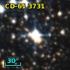 CD-61  3731