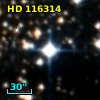 HD 116314