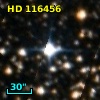 HD 116456