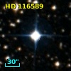 HD 116589